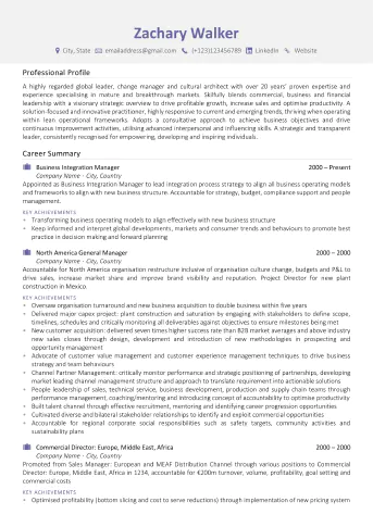 Professional Resume writing service example - James Innes Example 1